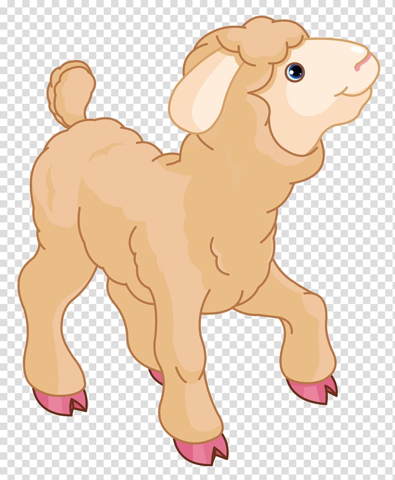 Sheep Lamb and mutton , Baby Sheep transparent background PNG clipart