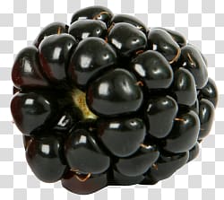Blackberry transparent background PNG clipart