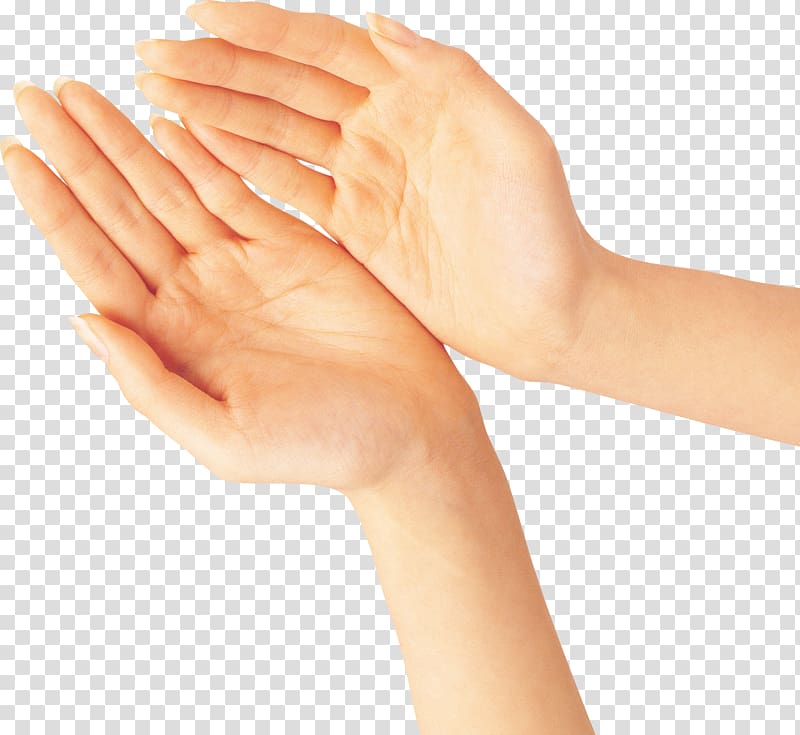 Hand Upper limb Gesture , holding hands transparent background PNG clipart