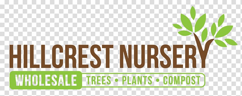 Hillcrest Nursery Tree Men Without Women, tree transparent background PNG clipart