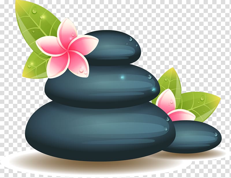 Flower Spa Adobe Illustrator Drawing Illustration, hand painted SPA stone transparent background PNG clipart