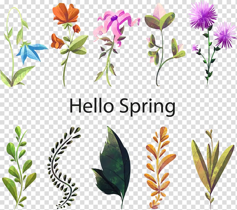 Floral design Watercolor painting Flower Plant, Hello spring flowers transparent background PNG clipart