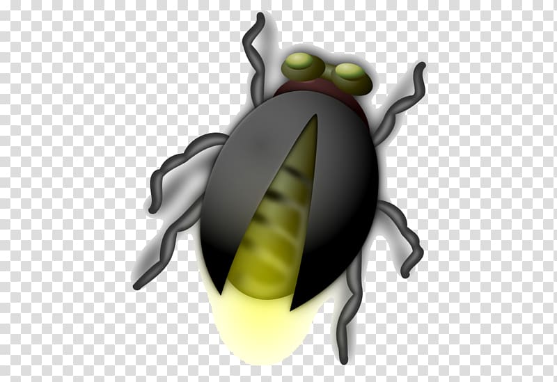 Insect Firefly , fireflies transparent background PNG clipart