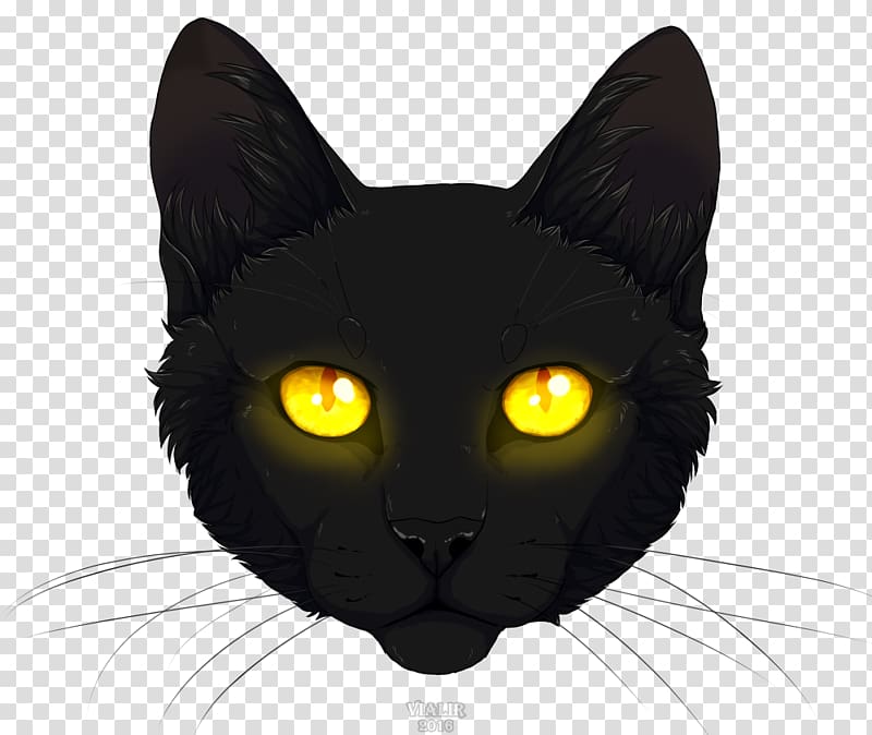 Kitten Domestic short-haired cat Whiskers, black cat head transparent background PNG clipart