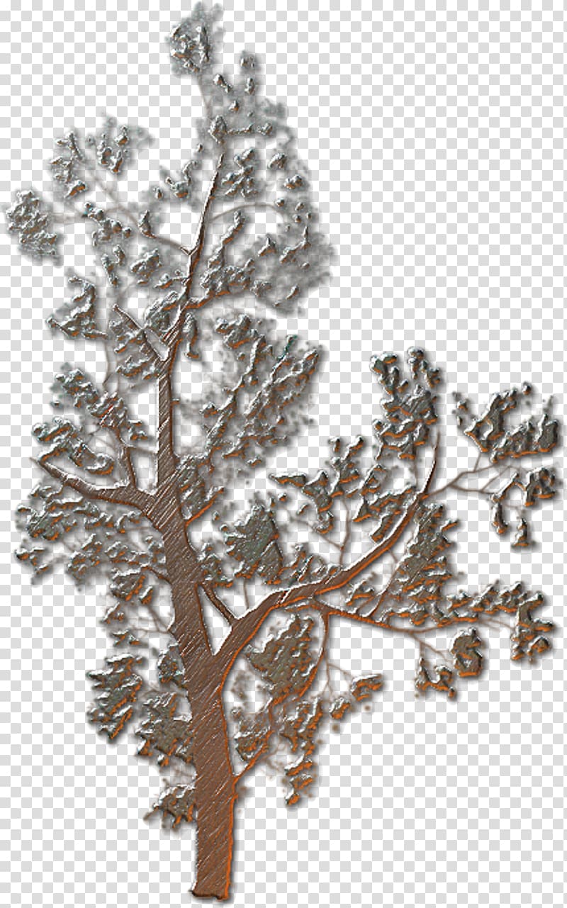 Relief Metal, Embossed metal bush transparent background PNG clipart