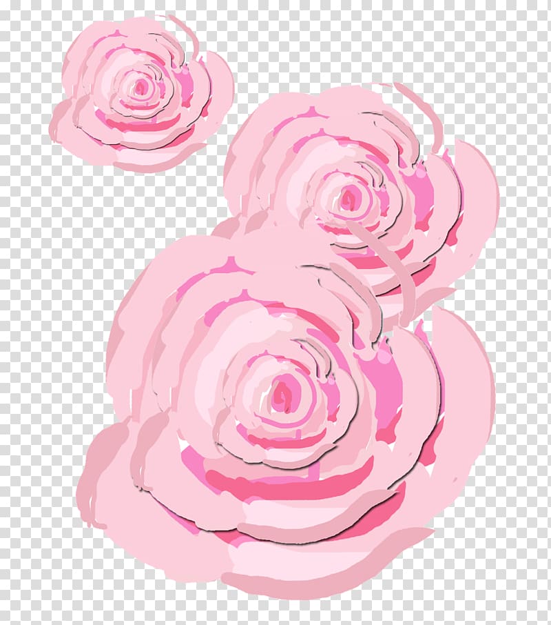 Centifolia roses Shabby chic Flower Pink, pink transparent background PNG clipart