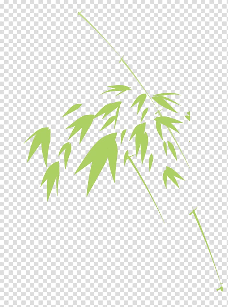 Bamboo Green Leaf, Green bamboo leaves transparent background PNG clipart