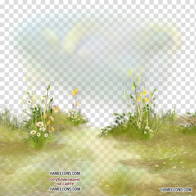 Flower Grass Herbaceous plant , spa-girl transparent background PNG clipart