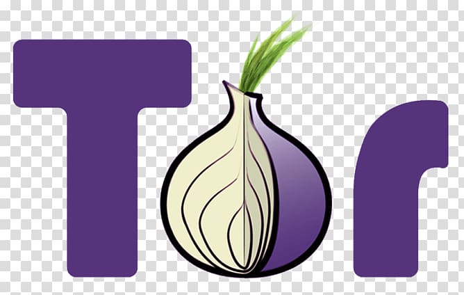 tor onion routing