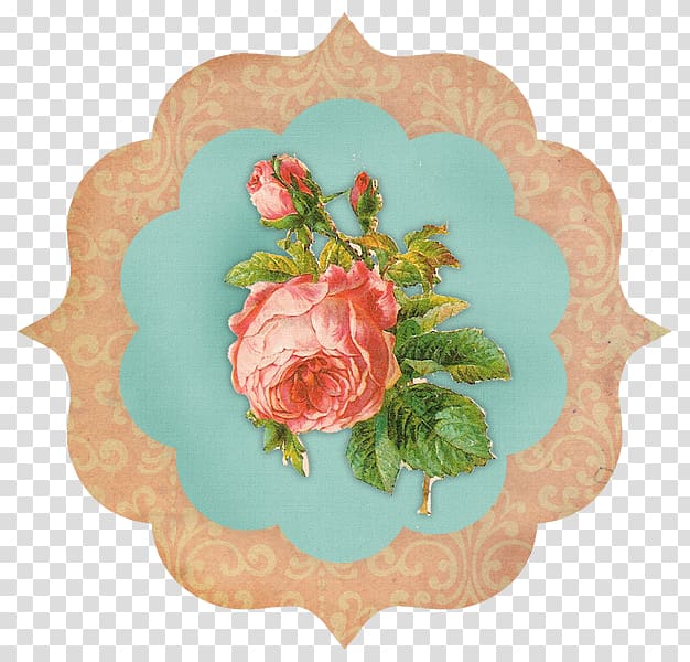 Rose Floral design Cut flowers Petal, rose transparent background PNG clipart