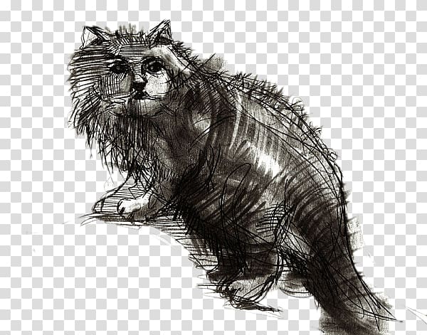 Cat Drawing Arts and Crafts movement, Cat sketch material transparent background PNG clipart