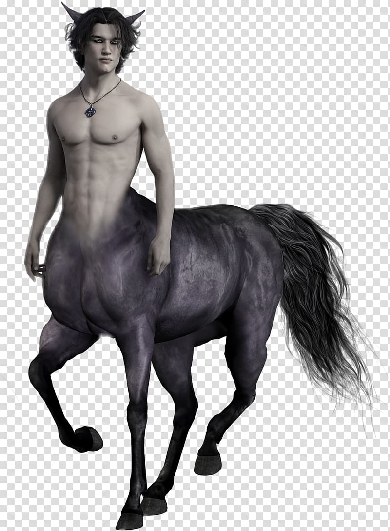 Centaur transparent background PNG clipart