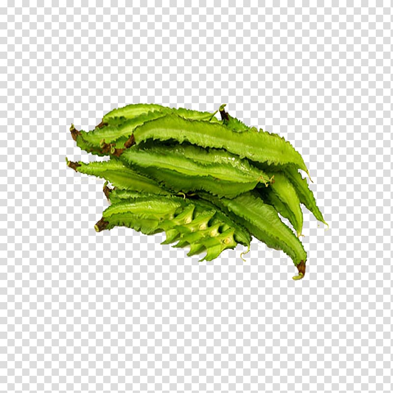 Winged bean Leaf vegetable Edamame, black beans transparent background PNG clipart