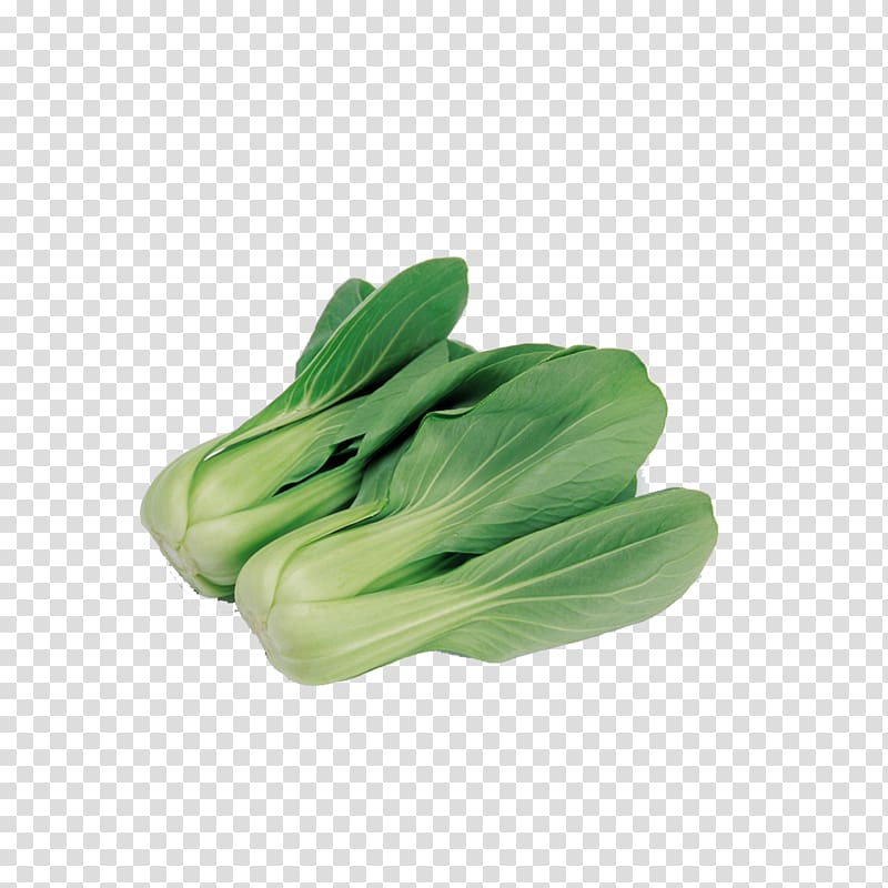 Napa cabbage Vegetable Choy sum Food Nutrition, Cabbage transparent background PNG clipart