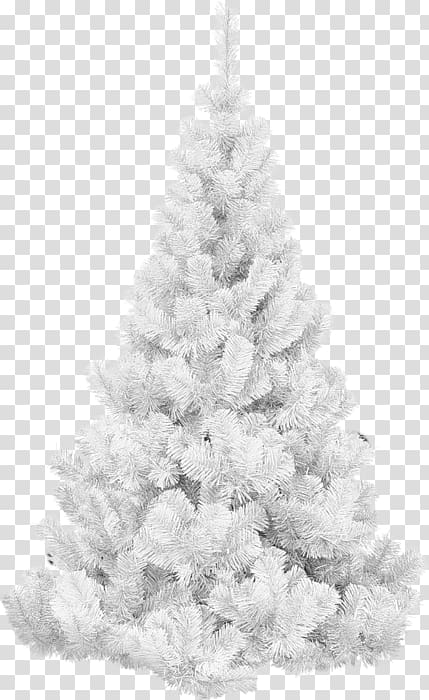 Christmas tree Spruce, christmas tree transparent background PNG clipart