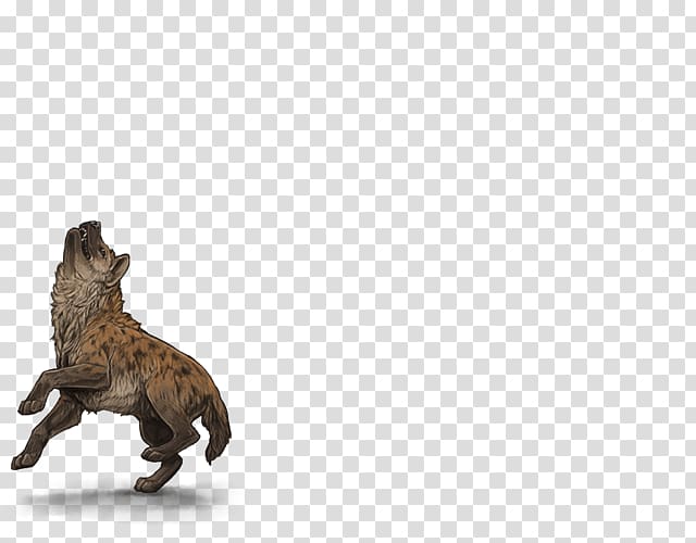 Striped hyena Lion Cat Spotted hyena, hyena transparent background PNG clipart