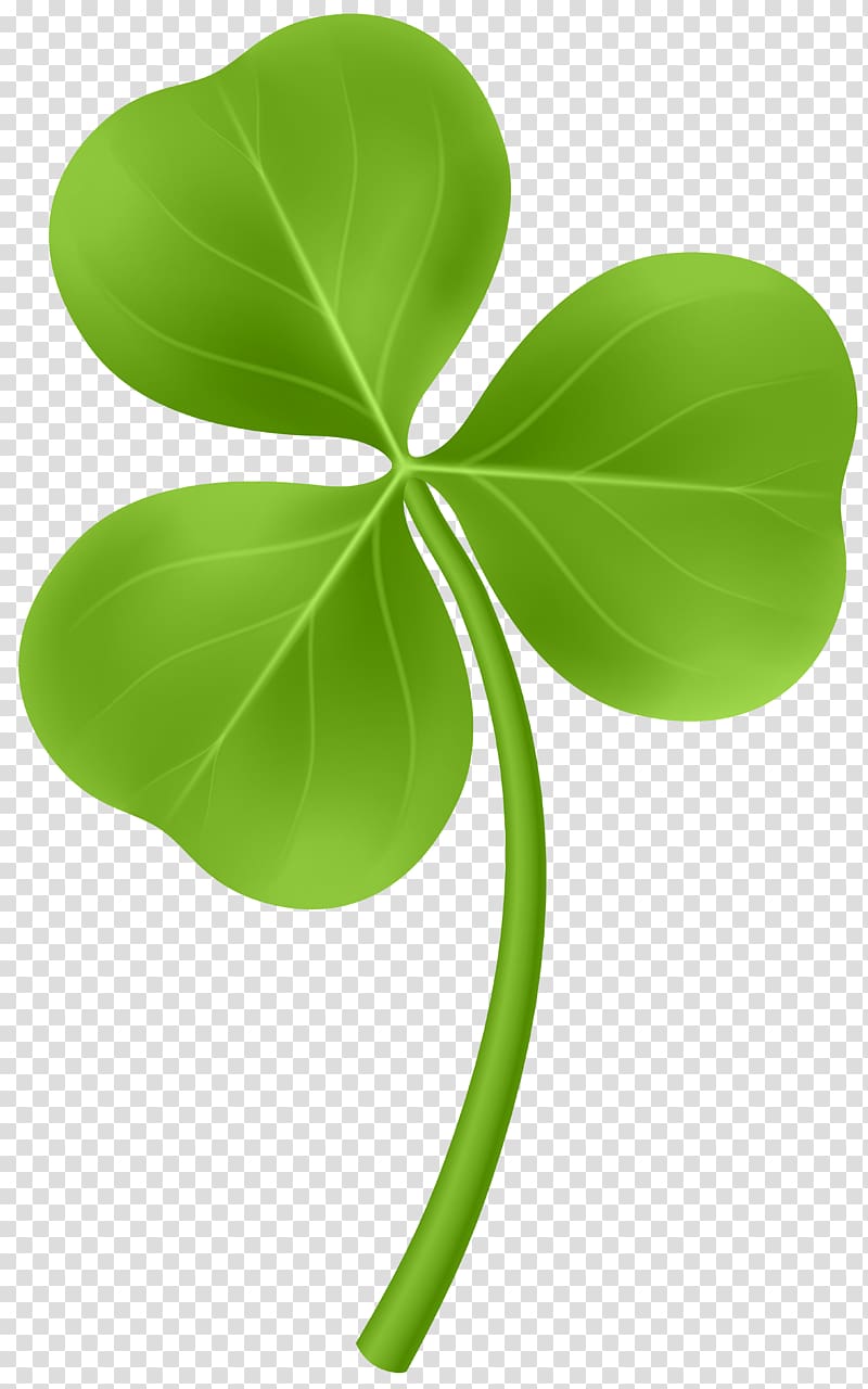 green club leaf , Shamrock , Shamrock transparent background PNG clipart