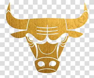 gold wallpaper chicago bulls