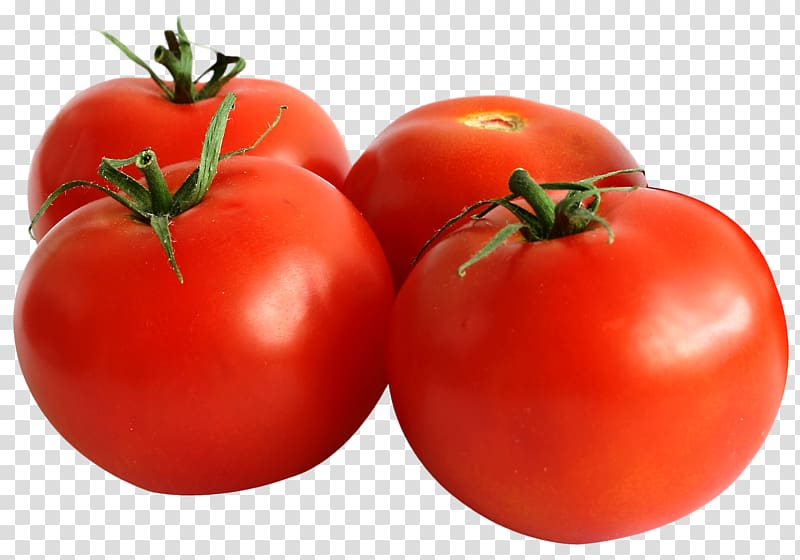 four red tomatoes, Cherry tomato Vegetable Seed Pear tomato Fruit, Tomato transparent background PNG clipart