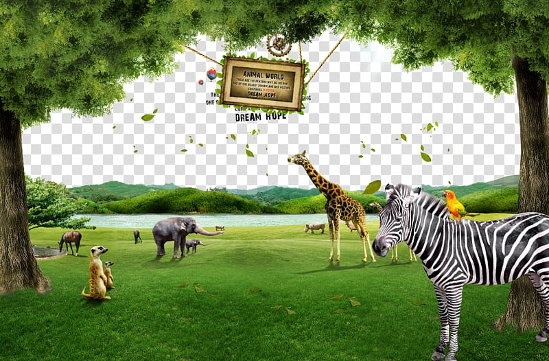 zoo transparent background PNG clipart