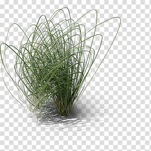 Cordgrass Prairie, others transparent background PNG clipart