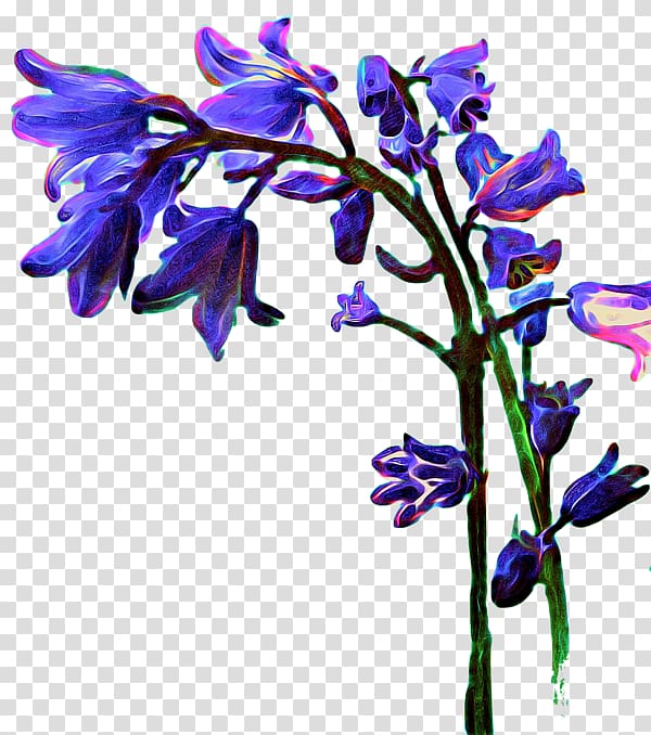 Lavender Cut flowers Floral design Violet, bluebells transparent background PNG clipart