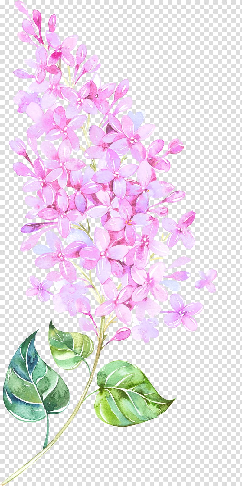 pink flowers illustration, Watercolor painting Flower Floral design, Floating Flower transparent background PNG clipart