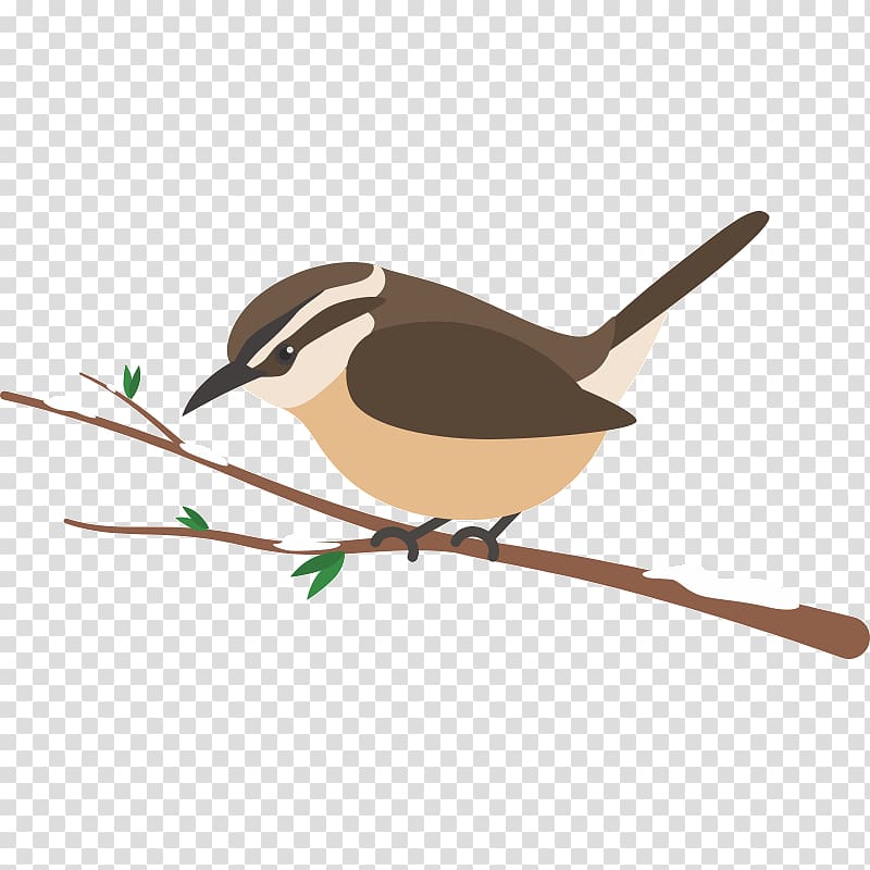 Wren American Sparrows Beak Chickadee, sparrow transparent background PNG clipart