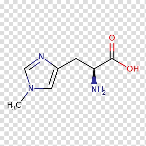 Histidine Essential amino acid Isoleucine Proteinogenic amino acid, 5hydroxytryptophan transparent background PNG clipart