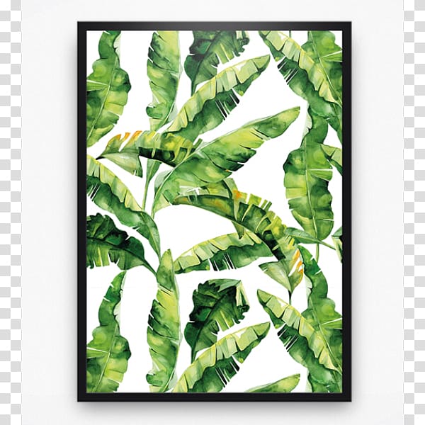 Paper Partition wall Adhesive Leaf , banana leaves transparent background PNG clipart
