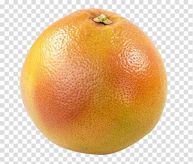 Clementine Grapefruit Tangerine Tangelo Rangpur, Close to grapefruit transparent background PNG clipart