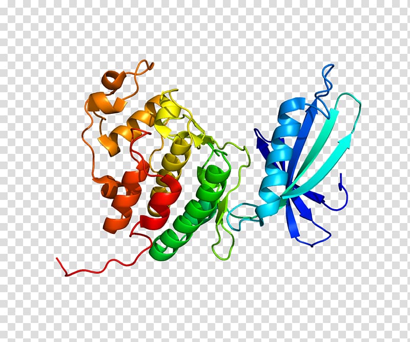 Cyclin-dependent kinase 4 Abemaciclib, others transparent background PNG clipart