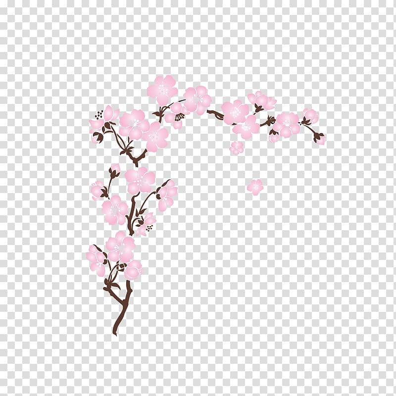 Cherry blossom Wall decal Cerasus, flower violet transparent background PNG clipart