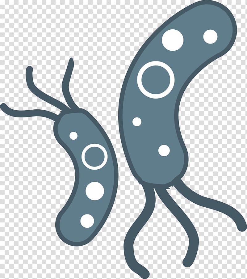 Bacteria transparent background PNG clipart