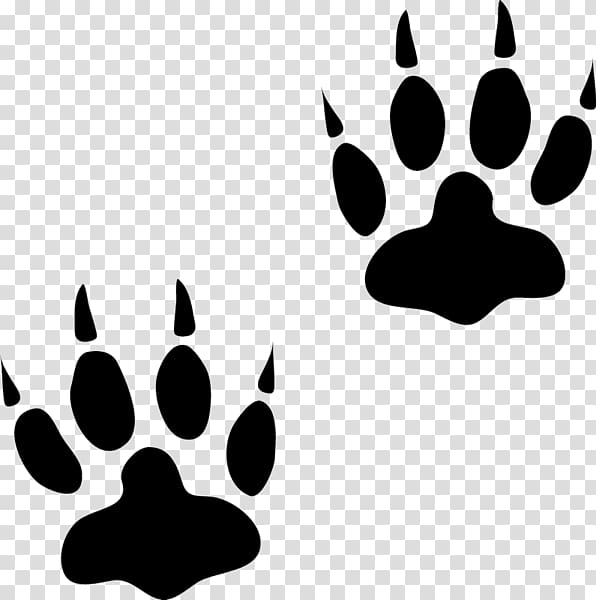 Bear Animal track Paw Cat, Animal Track transparent background PNG clipart