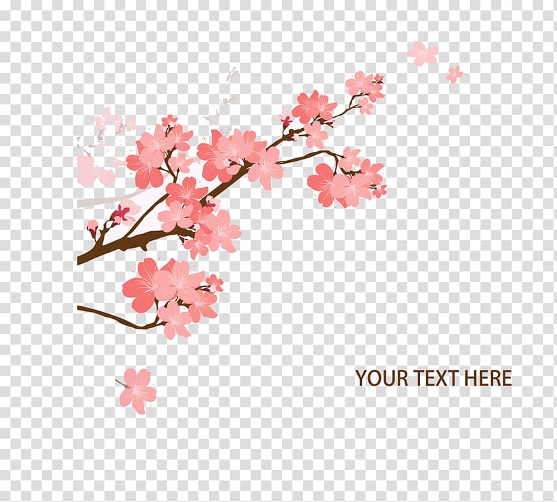 I am no bird; and no net ensnares me; I am a free human being with an independent will. Cherry blossom Dog State bird, Cherry pattern transparent background PNG clipart