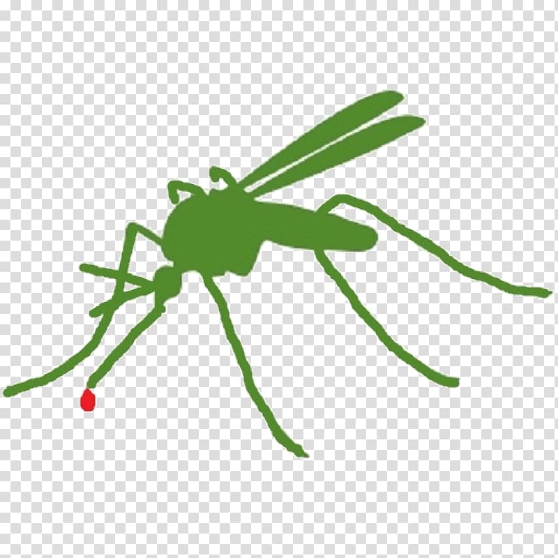 Mosquito control Insect Pest Citronella oil, mosquito transparent background PNG clipart