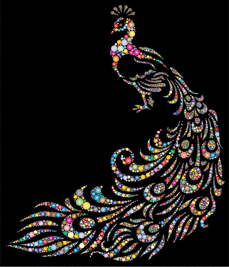 Asiatic Peafowl T Shirt Peacock Bird Peacock Transparent Background Png Clipart Hiclipart - peacock tail roblox