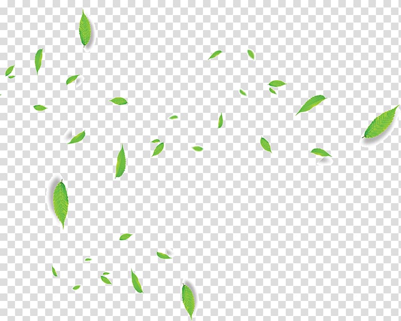 Leaf Wreath Green , Flowing green leaves transparent background PNG clipart