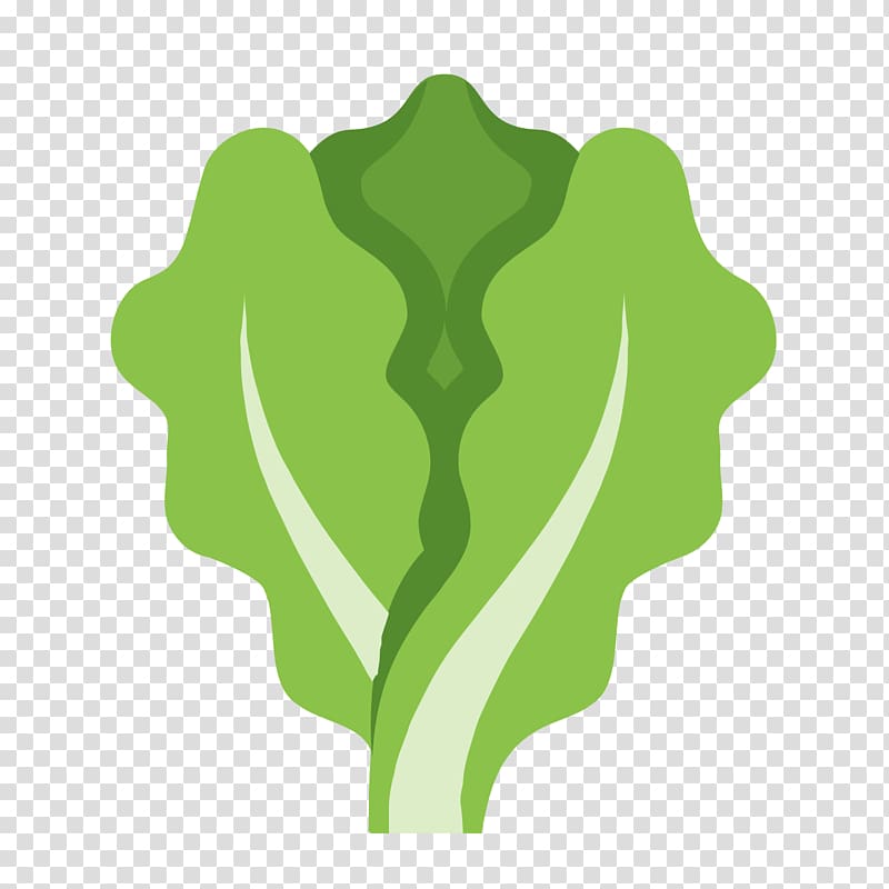 Organic food Computer Icons Hamburger Lettuce, lettuce transparent background PNG clipart