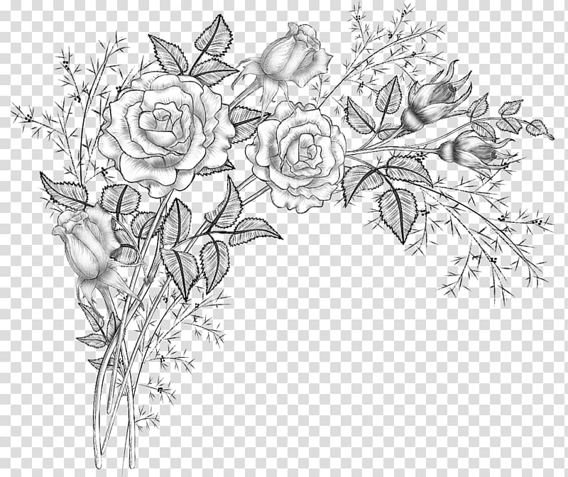 Drawing Visual arts Flower, brushes transparent background PNG clipart