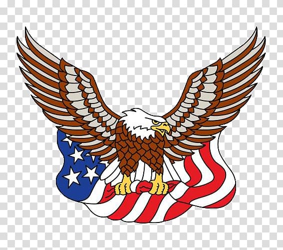 white and brown American eagle art, Flag of the United States Eagle, Whitehead and the American flag transparent background PNG clipart