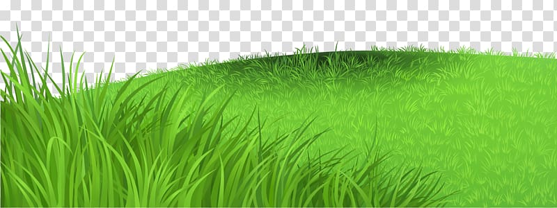 file formats Lossless compression Raster graphics, Grass Deco , green grass field illustration transparent background PNG clipart