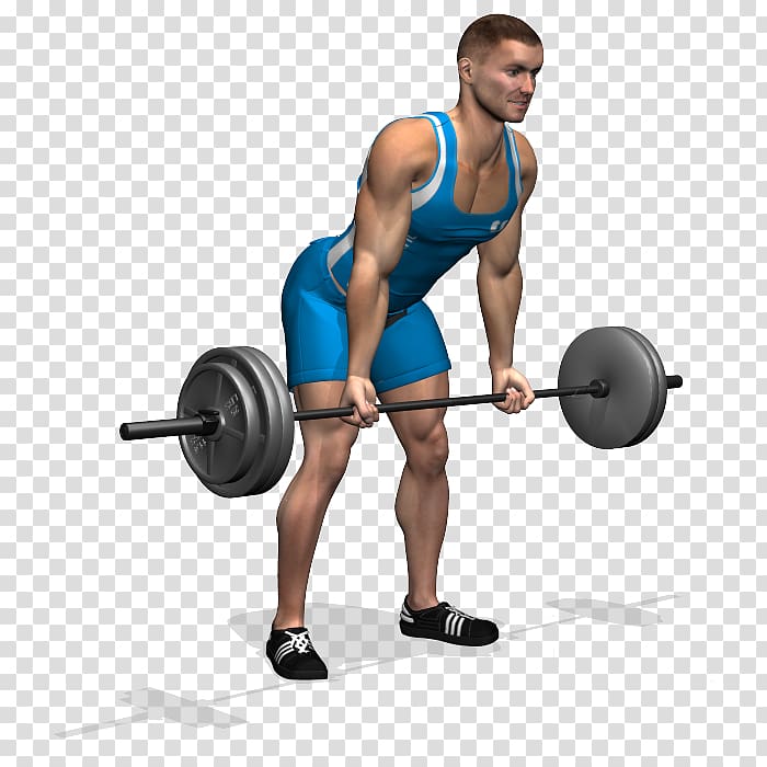 Barbell Pronation Bent-over row Physical exercise Weight training, barbell transparent background PNG clipart