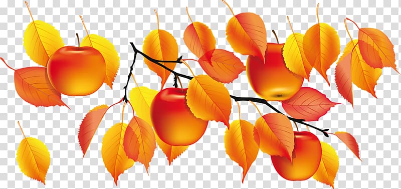Golden Autumn , autumn transparent background PNG clipart