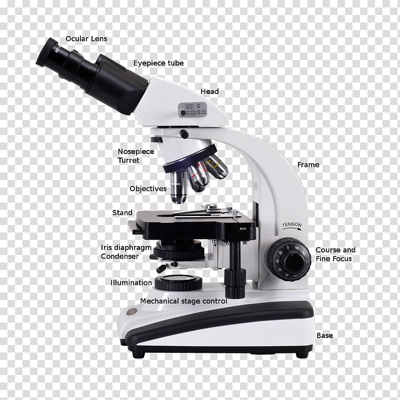Optical microscope Digital microscope Scanning electron microscope, stereoscopic transparent background PNG clipart