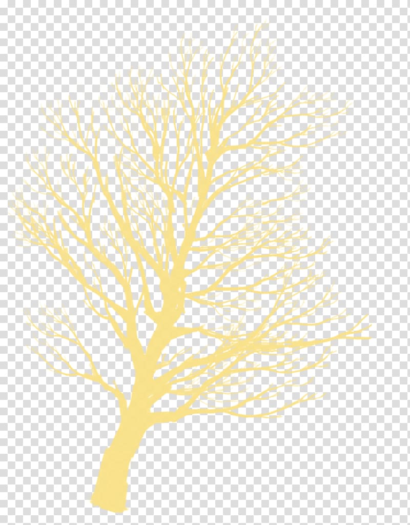 Tree Silhouette Twig, Yellow tree silhouette decorative motifs transparent background PNG clipart