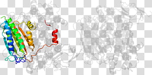 Desktop Computer Line , Computer transparent background PNG clipart thumbnail
