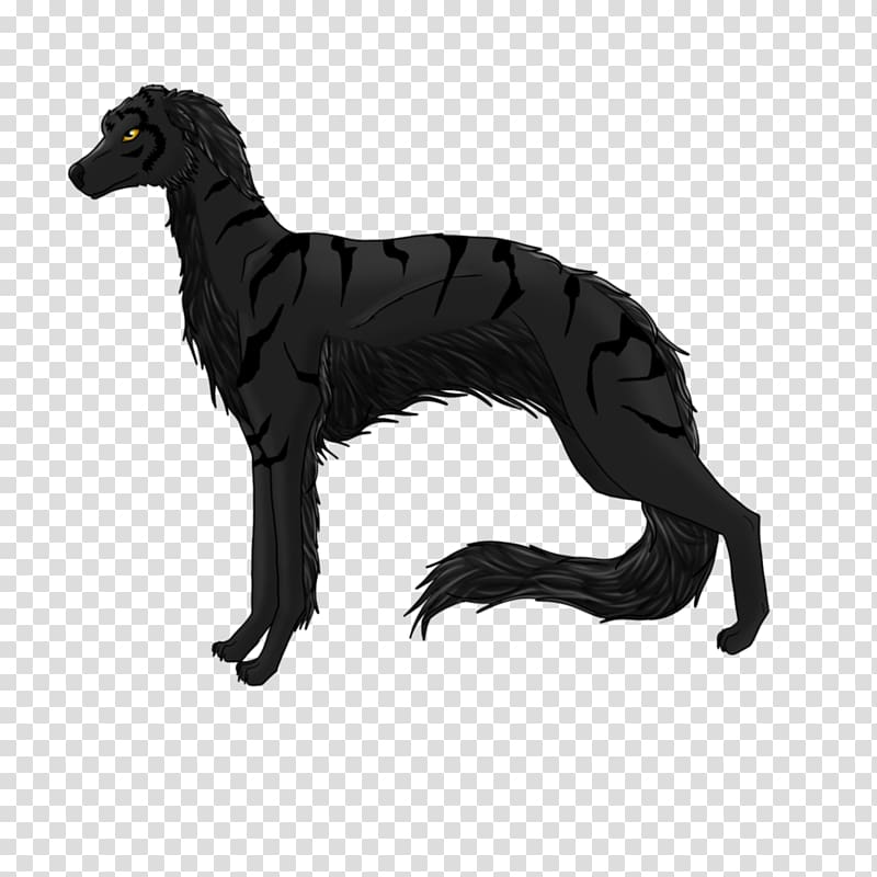 Dog breed Italian Greyhound, Hounds Of Love transparent background PNG clipart