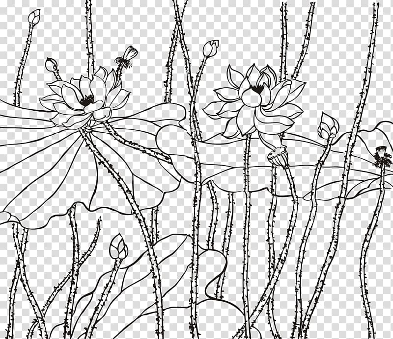 Nelumbo nucifera Drawing Line art Euclidean , Chinese wind painting lotus transparent background PNG clipart